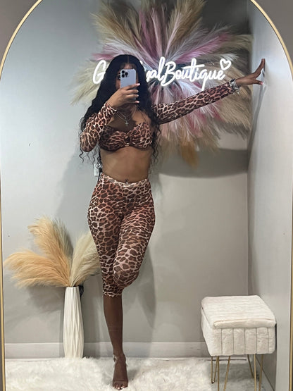 Cheetah Ha Set