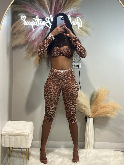 Cheetah Ha Set